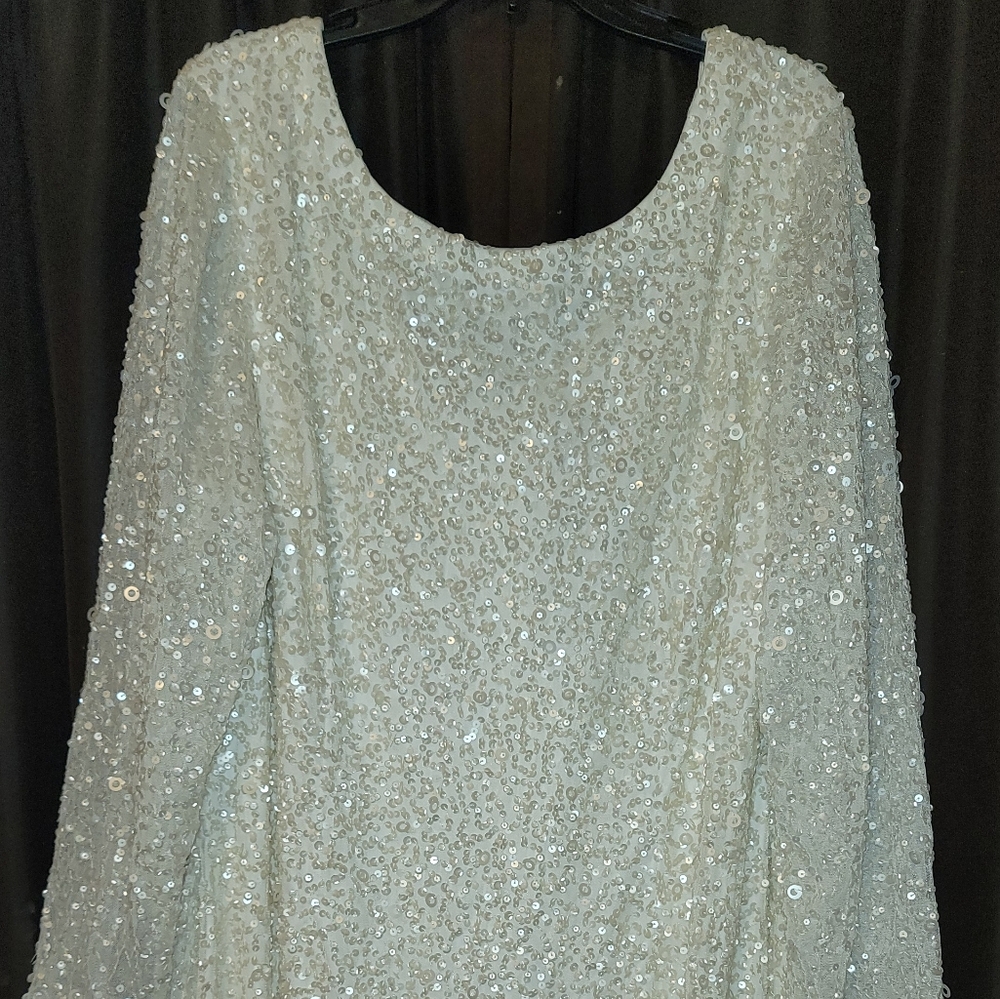 Adrianna Papell Long Sleeve Beaded Cocktail dress
